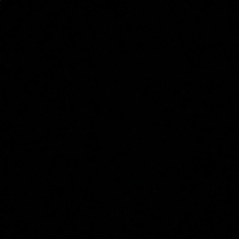 Meet your Posher, Ava